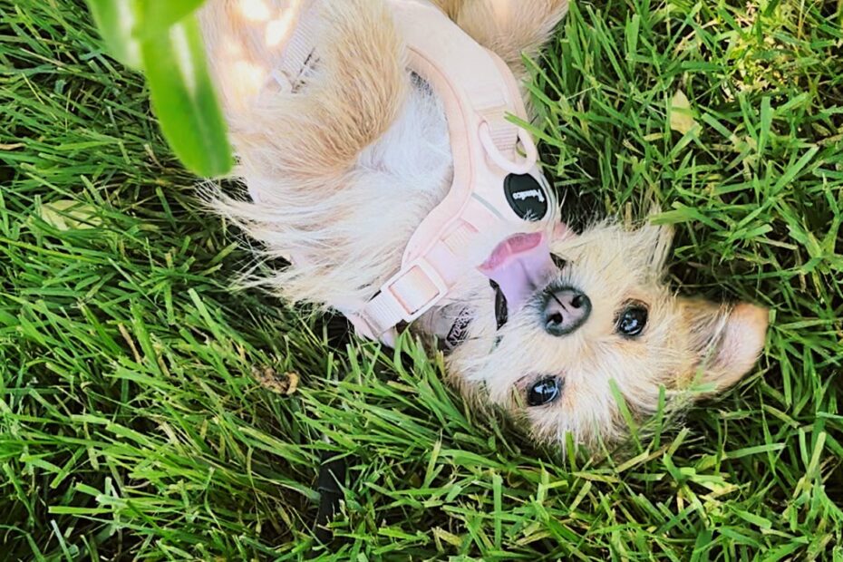 Daily Perspective + Mood Boosting Ideas - Peanut Butter Fingers