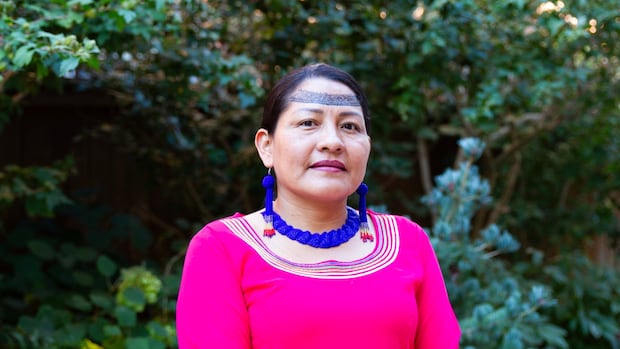Good for mining but bad for democracy? Why Indigenous groups in Ecuador oppose free trade deal with Canada | CBC News