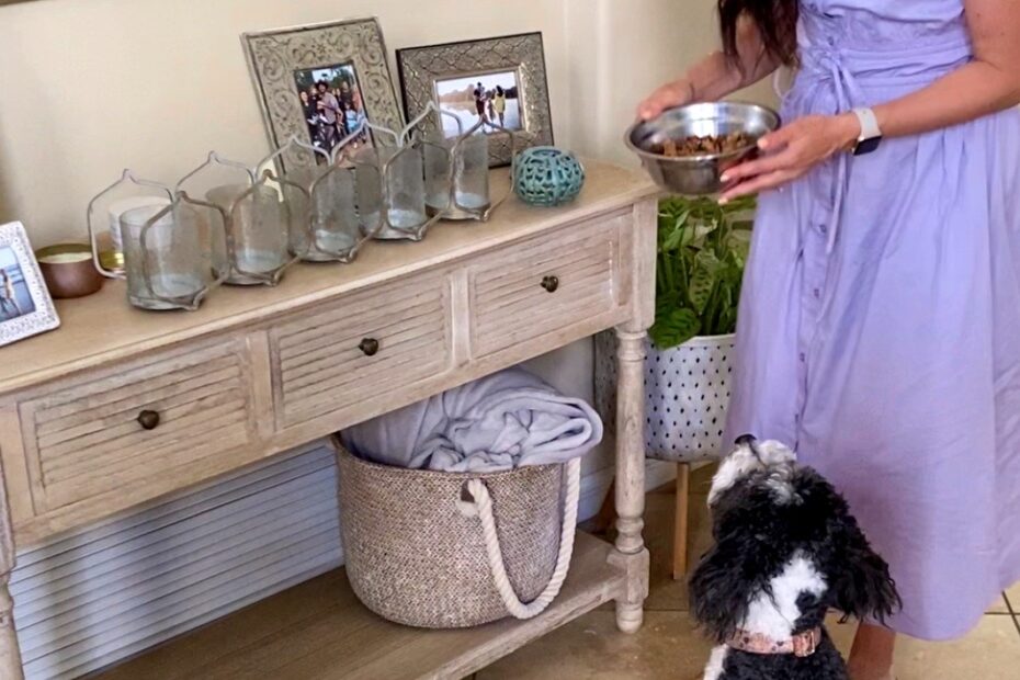 Healthy homemade dog food recipe - The Fitnessista