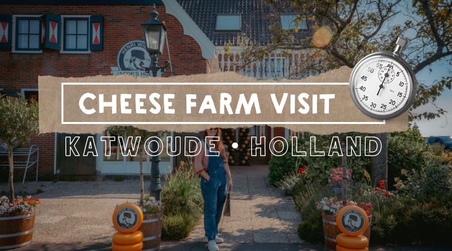 Henri Willig Cheese: A Taste of Real Dutch Tradition