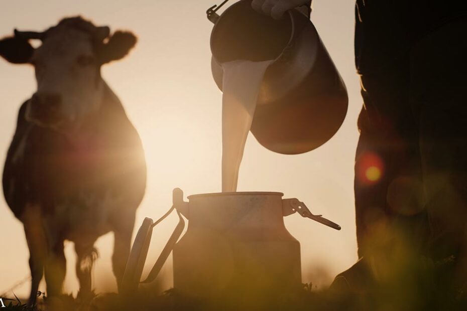 Industry's 'Improvement' to Milk Does More Harm Than Good