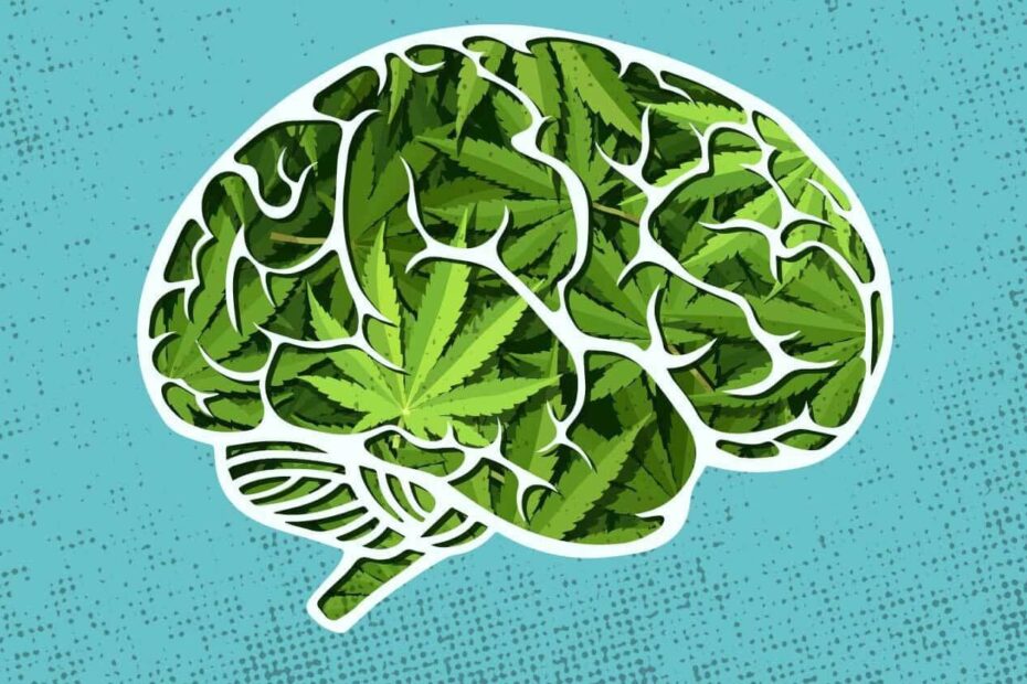 Largest Study of Its Kind Finds How Long-Term Cannabis Use Affects Memory