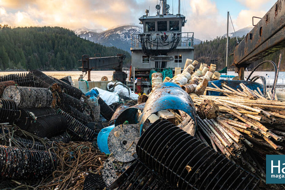 The Destructive Legacy of Failed Aquaculture | Hakai Magazine