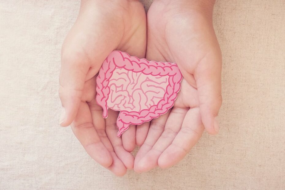 Healing Gut Health