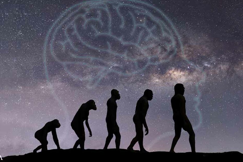 The Role of Gut Microbes in Human Evolution