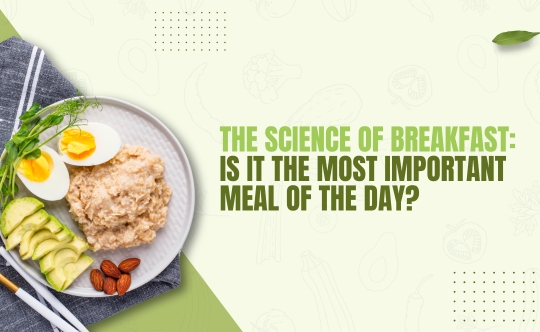 The Science of Breakfast: Is It the Most Important Meal of the Day? - Health Total