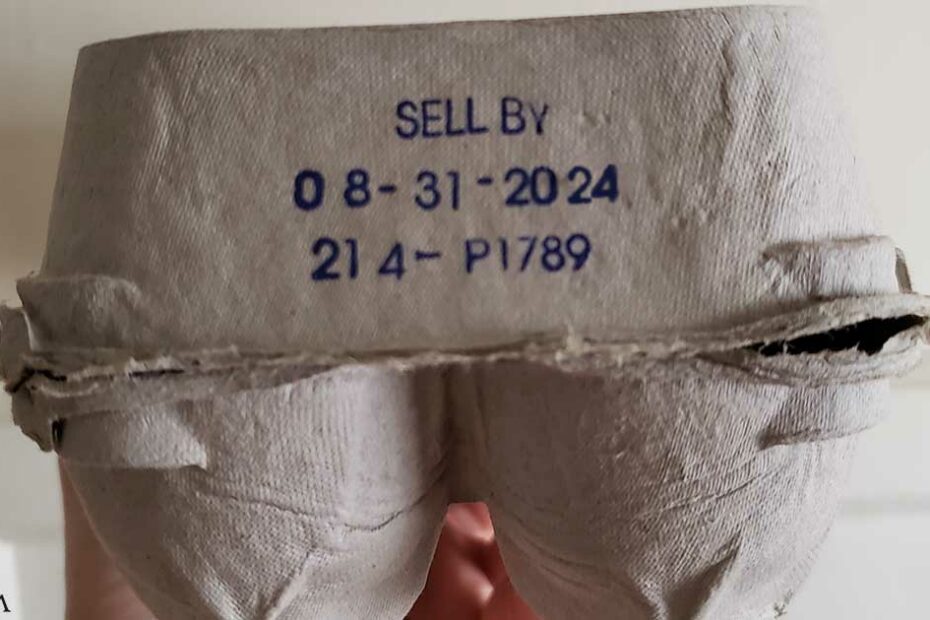 Understanding Egg Carton Codes