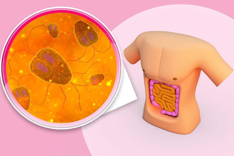 What is a Microbiome Test ? - Dietburrp