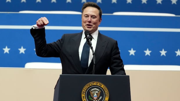 Why Elon Musk and DOGE's U.S. payment system access is raising alarm | CBC News