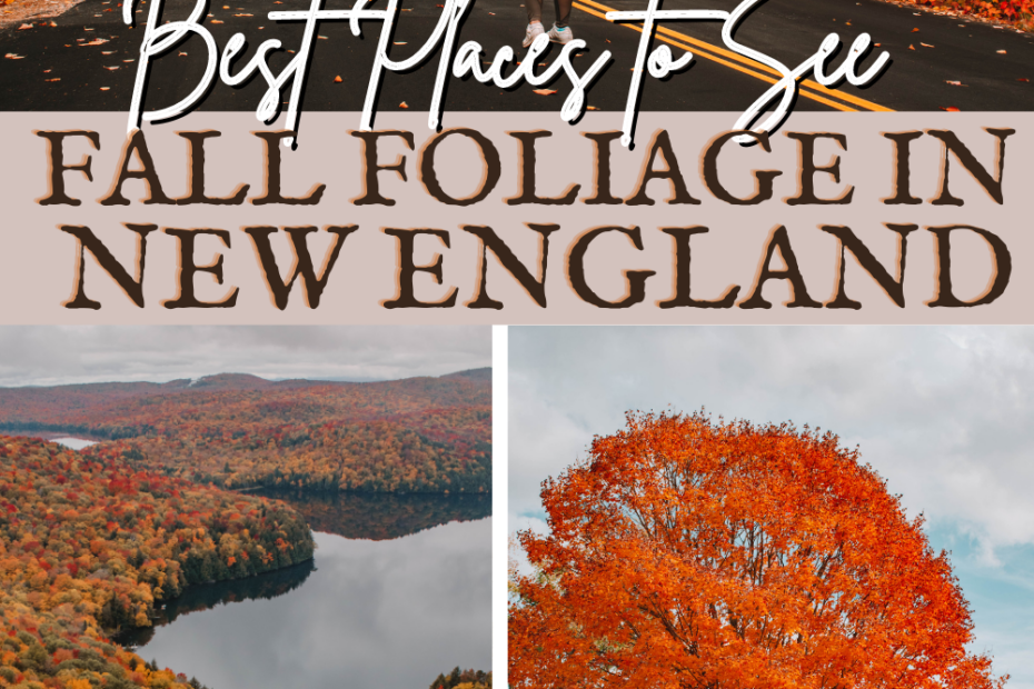 Best Places to See Fall Foliage in New England: Towns, Farms, Leaves, Festivals and More!