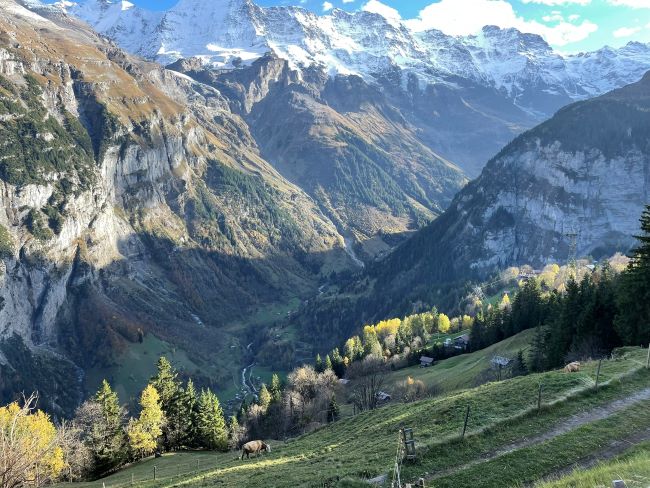 Europe Road Trips with Kids - Family Travel Guide