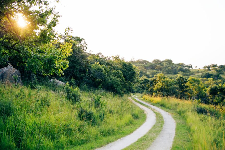 Flights from Johannesburg to Nelspruit: A Comprehensive Travel Guide