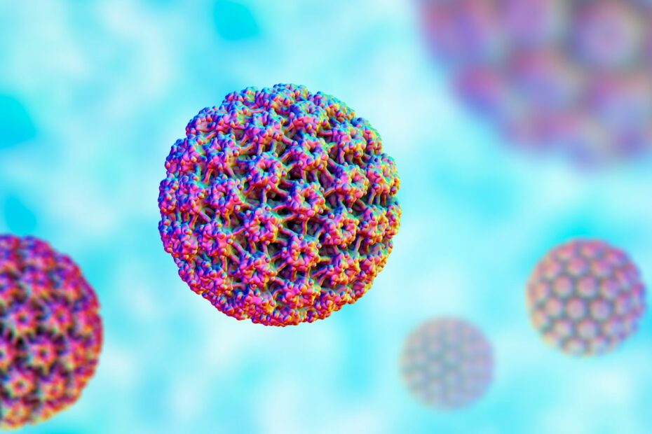 If HPV Infection Increases Heart Disease Risk, Can Vaccination Lower It?
