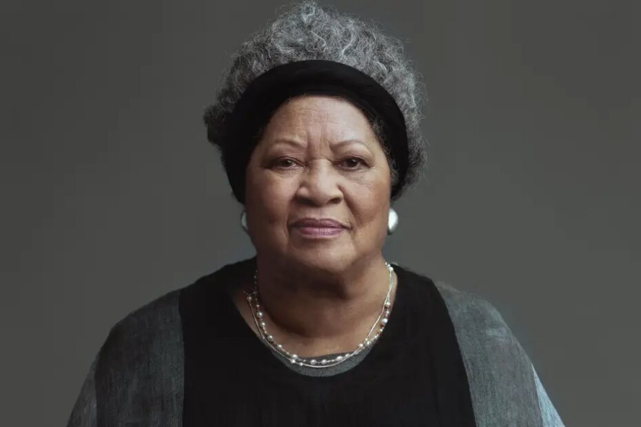 The Curvy Fashionista