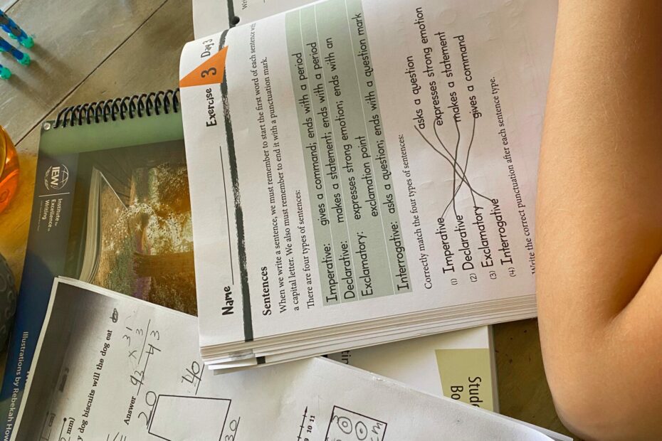 Our homeschool curriculum - The Fitnessista