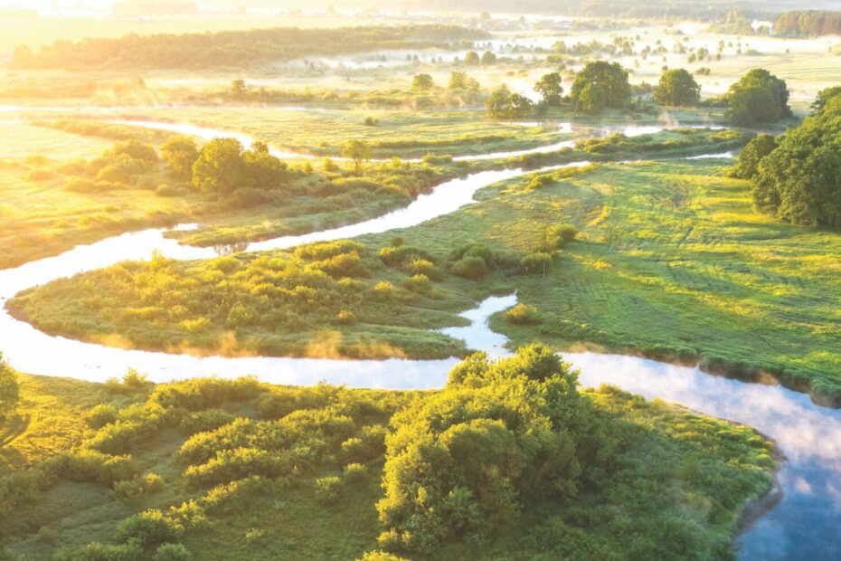 Publisher Day 2025: Key Insights