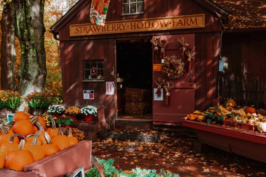 The Best Farms in New England for Fall
