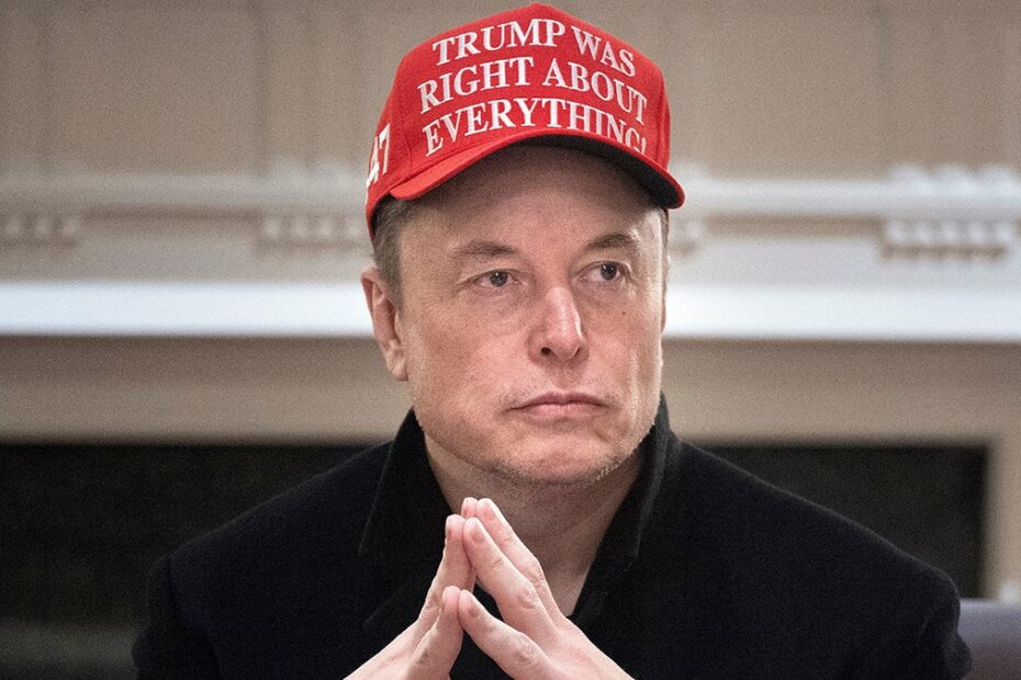 The Woketopus’ War on DOGE