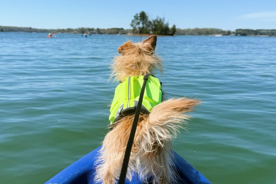 pepper kayak