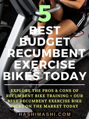 5 Best Budget Recumbent Exercise Bikes for Home in 2025