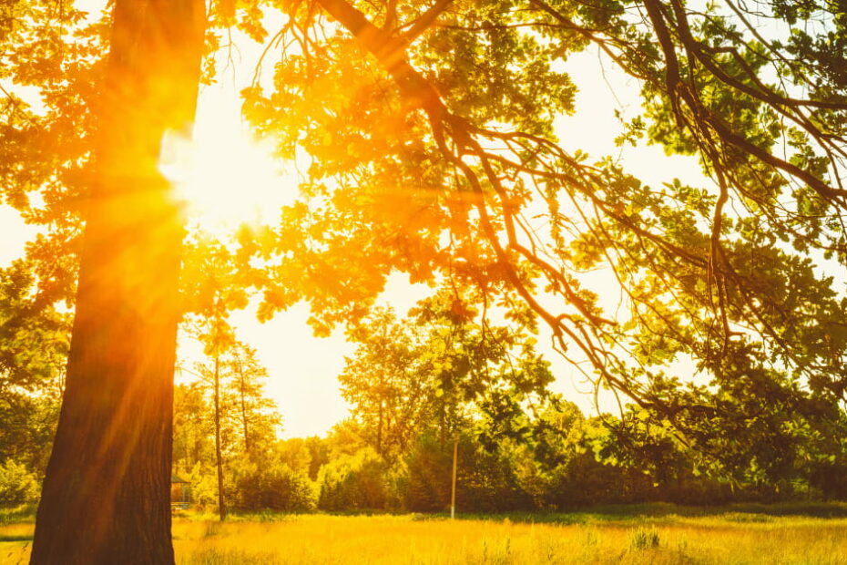 8 Benefits Of Sunlight In The Morning : Ways To Get It - Glowalley
