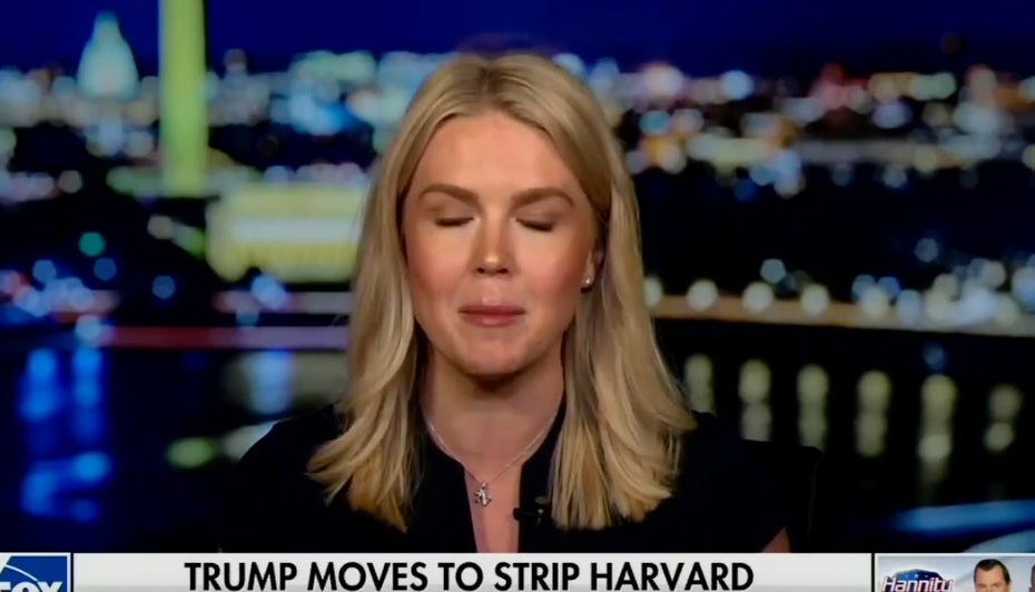 Aryan Stock Photo Karoline Leavitt Has Thoughts About 'LGBT Graduate Majors'