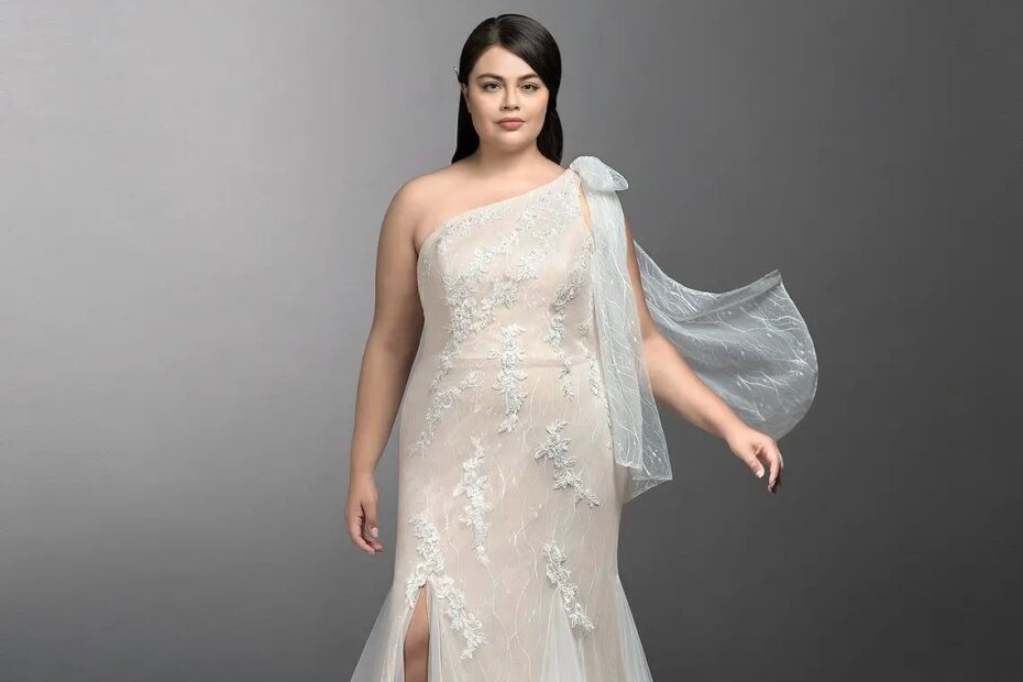 The Curvy Fashionista