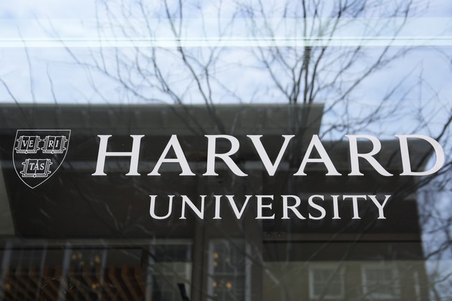 Christopher Rufo Says Harvard 'Deliberately Penalizes White Men in Hiring'