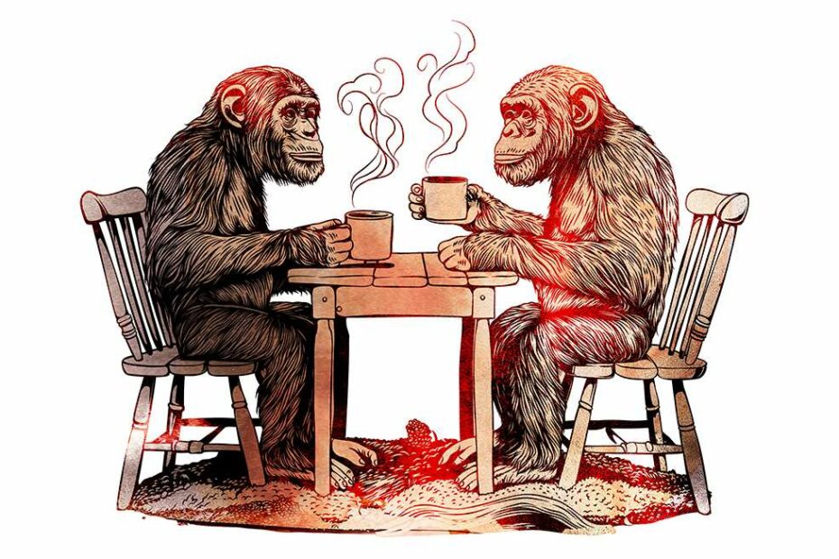 Cocaine hippos, monkey copyrights, and a horse named justice: The debate over animal personhood