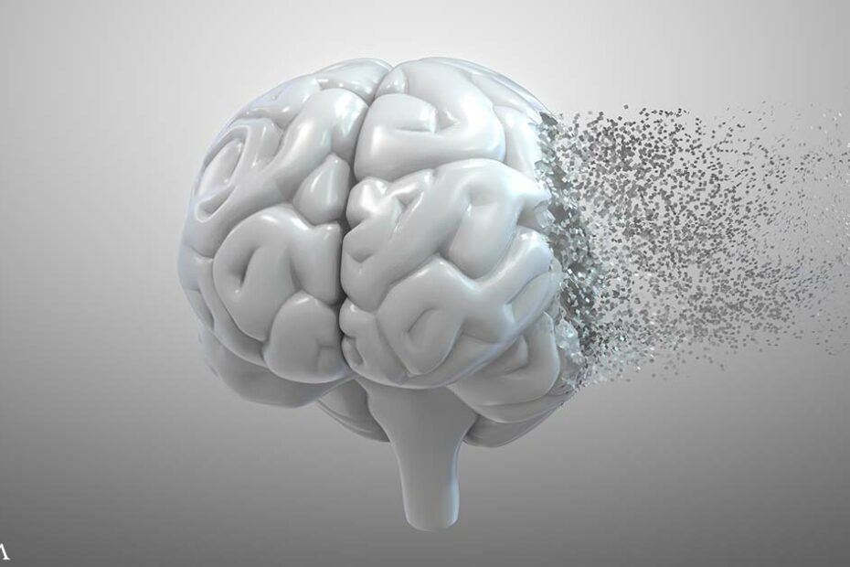 Could Vitamin K Deficiency Lead to Cognitive Decline?