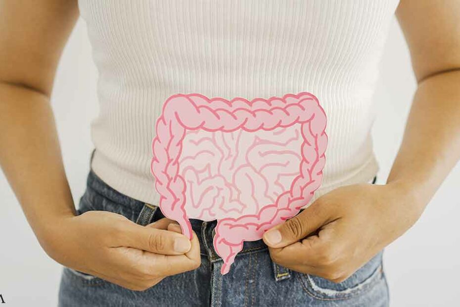 Could Your Gut Microbiome Help Manage Stress?