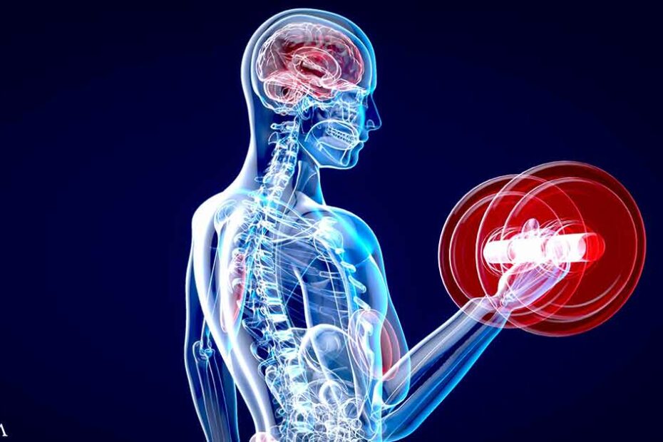 Exercise Benefits Your Brain at Any Age