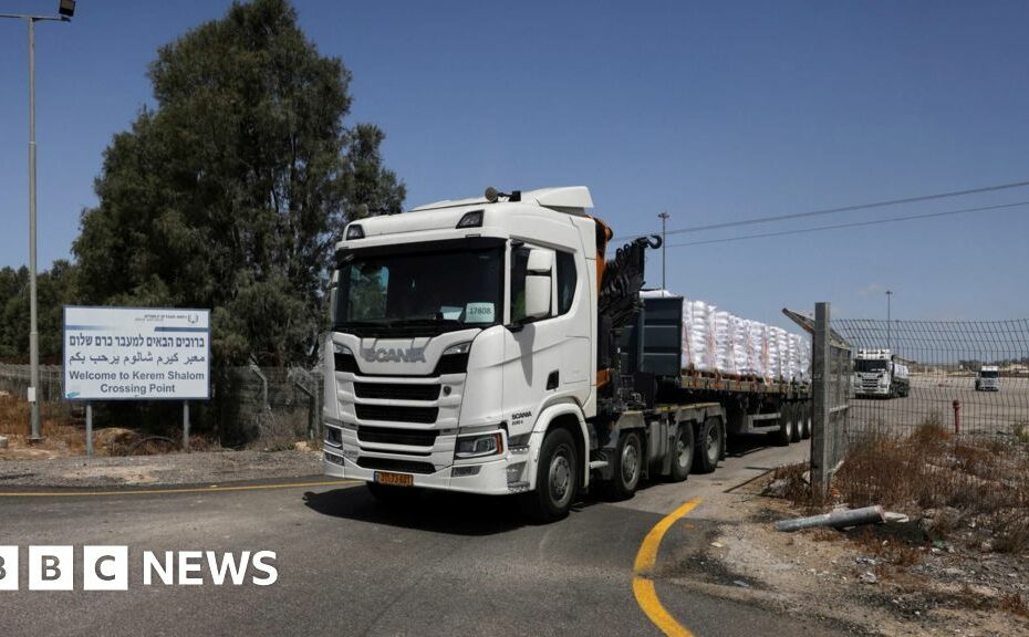 Gaza: Israel allows in five UN aid lorries after 11-week blockade