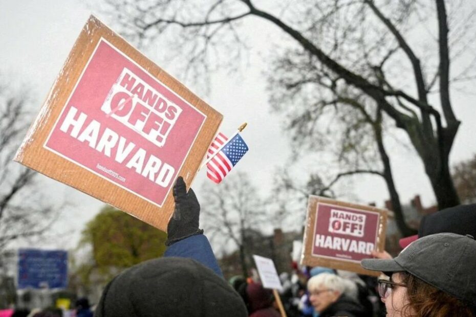 Harvard vietata agli stranieri, un giudice accoglie la mozione dell'ateneo e blocca la stretta di Trump - Nord America - Ansa.it