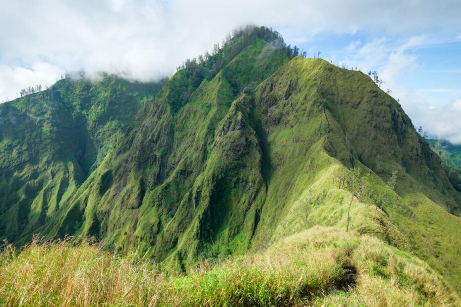 The World Travel Guy