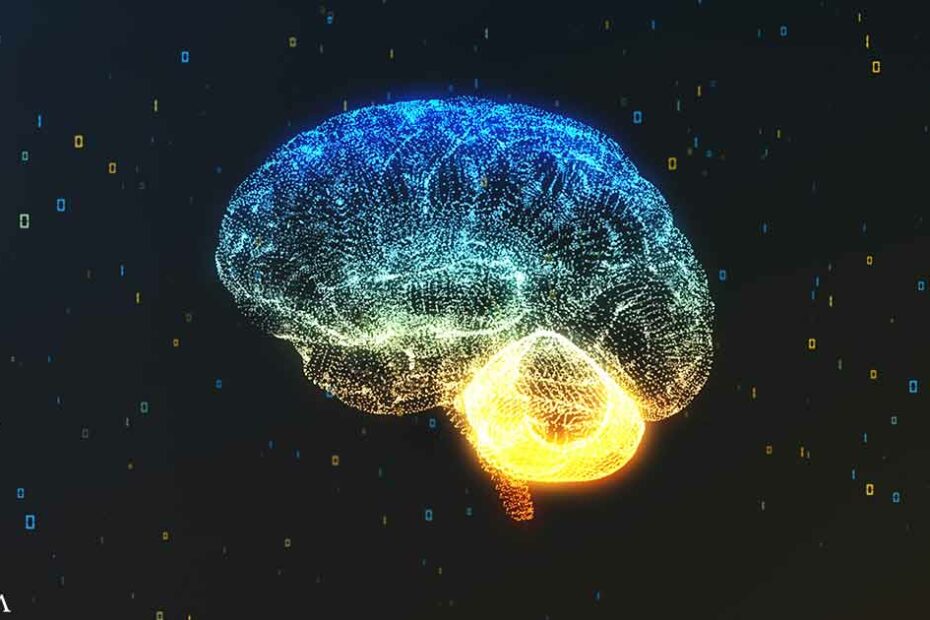 How Inflammation Alters Your Mood and Behavior