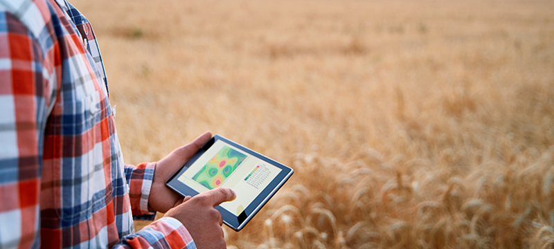 How Smart Agriculture Can Utilize a Satellite API for Earth Observation