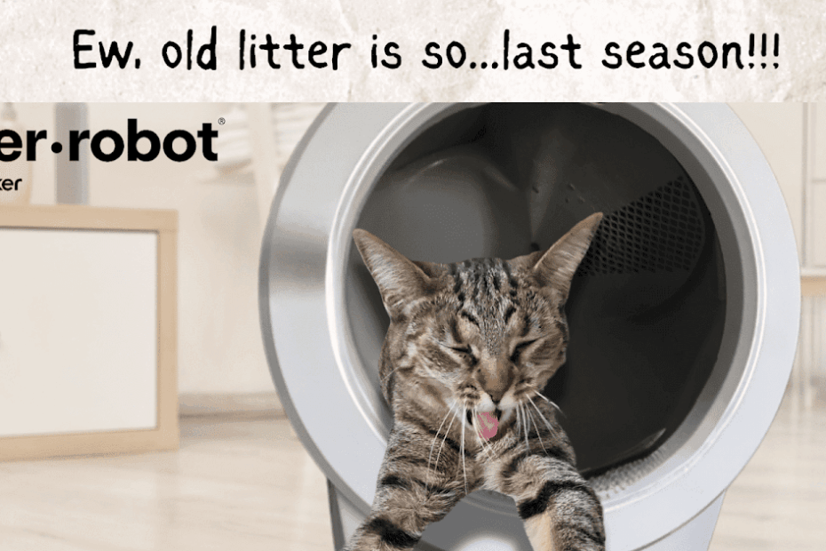Litter-Robot 4: What To Know Before You Buy