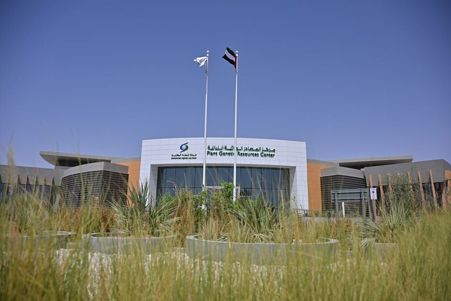 Look: Inside UAE lab preserving nature, one seed at a time