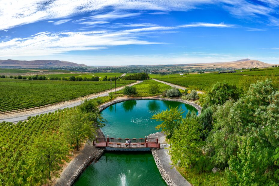 Red Mountain AVA Wines: Discover the Magic