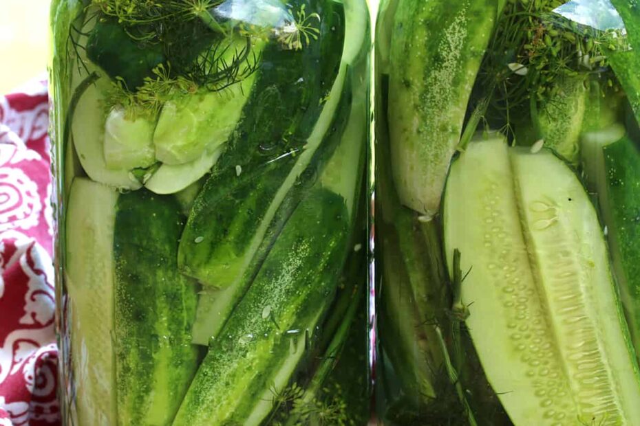 refrigerator pickles recipe dill crunchy best easy no sterilizing