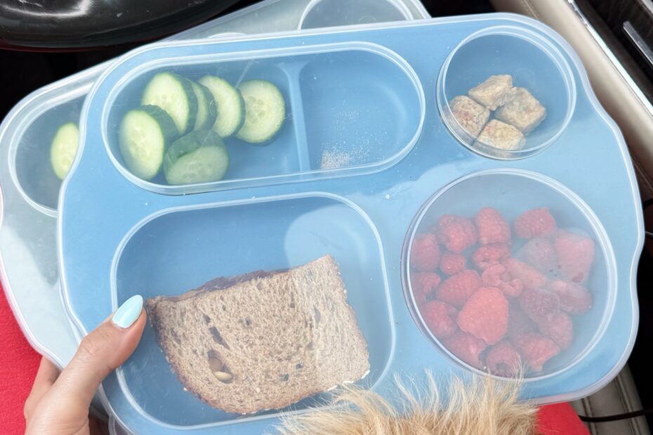 divided plates with lids