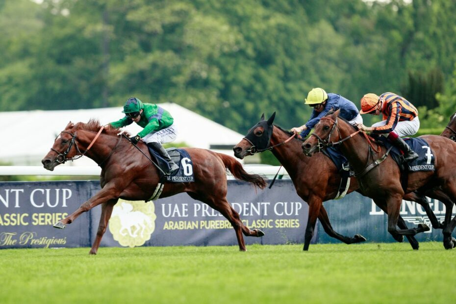Metropolitan wins the Poule d'Essai des Poulains Gr.1  at ParisLongchamp,, 12/05/2024
