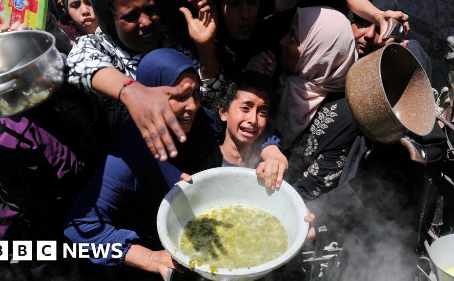 US confirms plan for private firms to deliver Gaza aid despite UN alarm