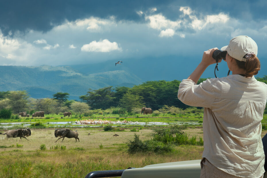 10 Best Destinations for Luxury Wildlife Holidays