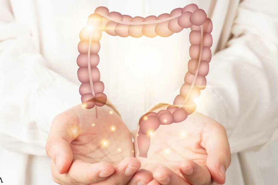 A Holistic Approach to Treating SIBO