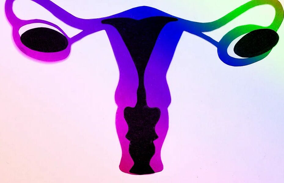 Abortion Ban States Now Free To Just Let Pregnant Women Die