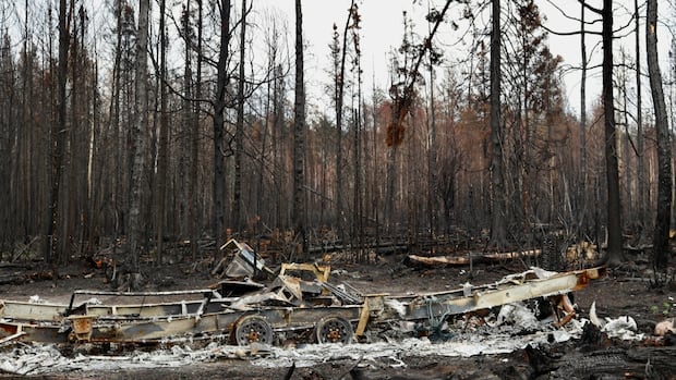 After the firestorm: Loss and hope in Saskatchewan's scorched north | CBC News