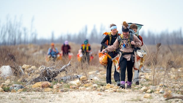 Amid Manitoba's devastating wildfire season, replanting aims to restore forests, fight climate change | CBC News