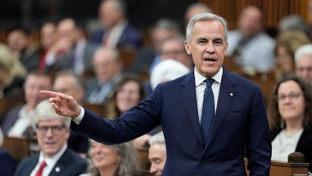 Carney lays out Canada's G7 summit priorities while managing a complicated guest list | CBC News